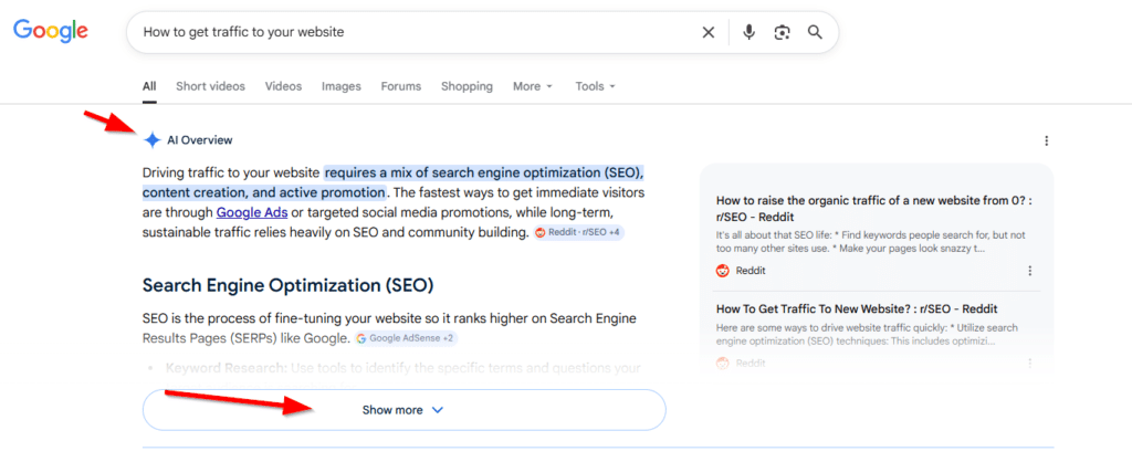 Google AI Overview for how to get traffic to your website
