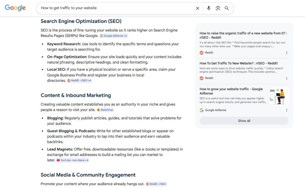 Google AI Overview for how to get traffic to your website show more